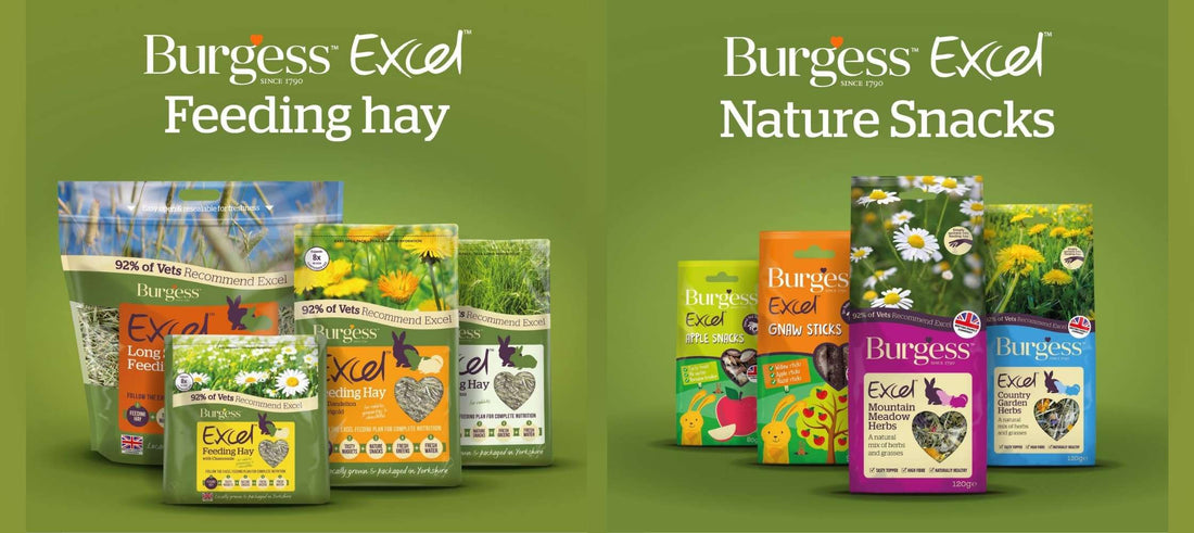 Burgess Excel - a Leading Brand in Small Animal Nutrition