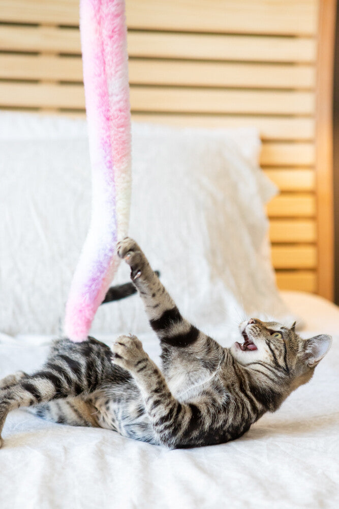 Cat Toy Dangler Unicorn's Tail (Blue03)