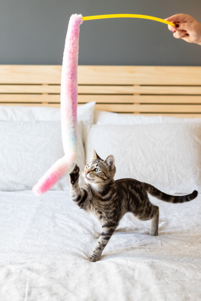 Cat Toy Dangler Unicorn's Tail (Blue03)