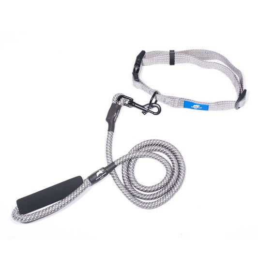 Animal Planet Collar and Rope Lead Bundle