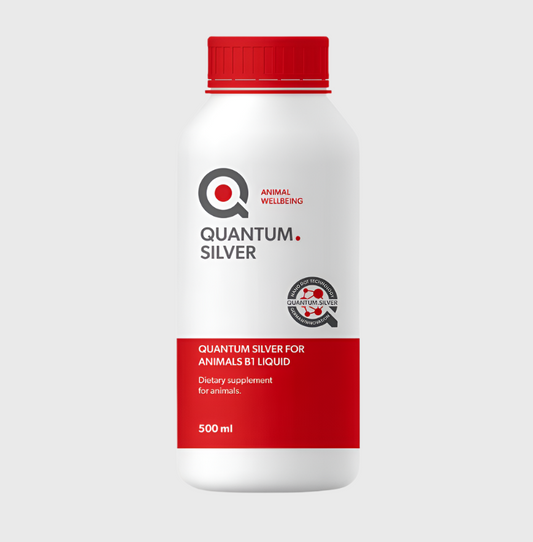 Quantum Silver Liquid 500ml