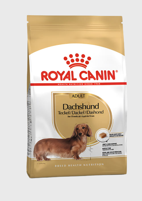 Royal Canin Dachshund Adult From 10 Months to Adult and Mature