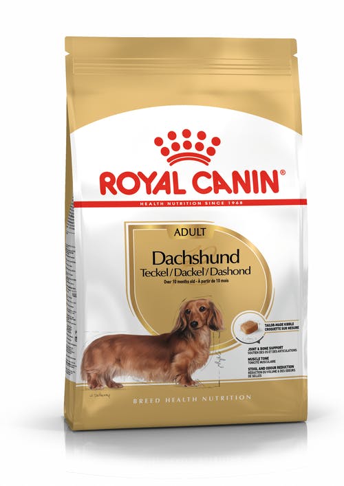 Royal Canin Dachshund Adult From 10 Months to Adult and Mature