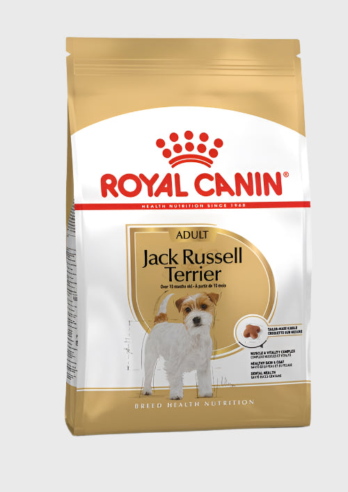 Royal Canin Jack Russell Adult From 10 Months to Adult & Mature