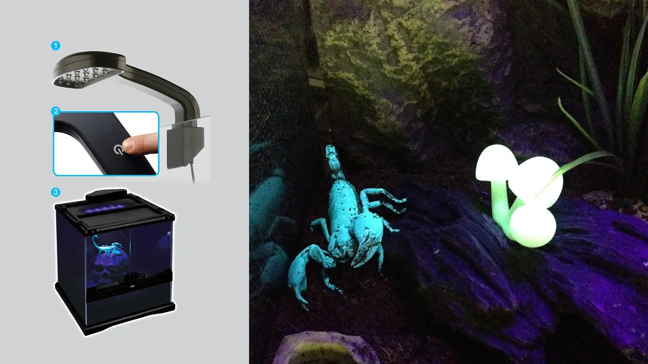 Exo Terra-Scorpion Light - 15 LED - Soft Ultraviolet Light