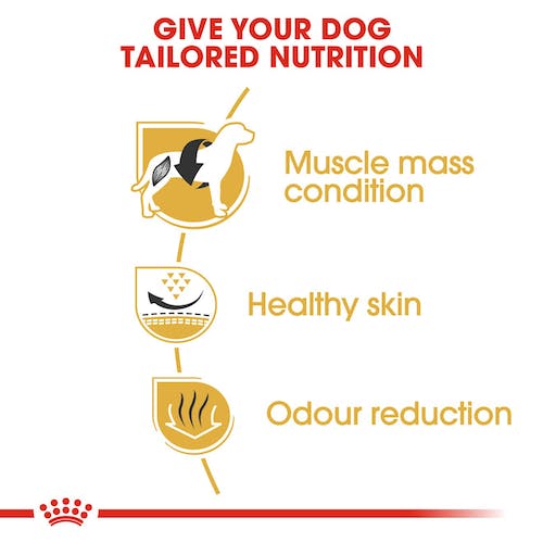Royal Canin French Bulldog Adult