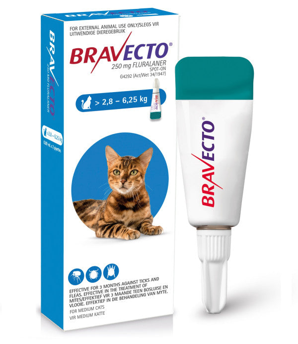 Bravecto Spot-On Cat