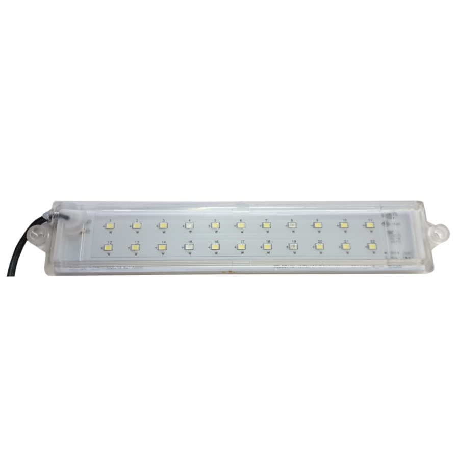 C/ LED Light 5W (White and Blue)