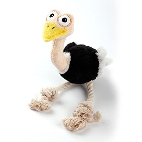 Ultrasonic - Ostrich S