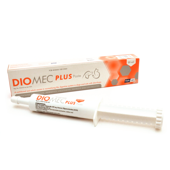 Diomec Plus Paste 15ml