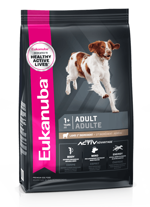 Eukanuba Medium Breed Adult Over 12 Months 10-25Kg with Lamb and Rice Dog Food