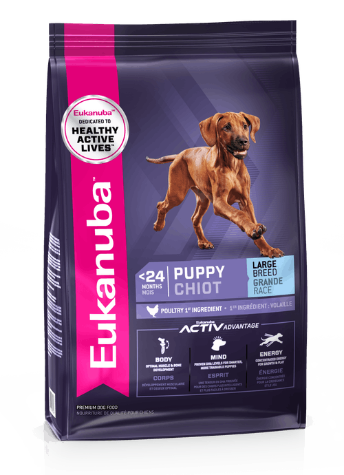 Eukanuba 25kg online
