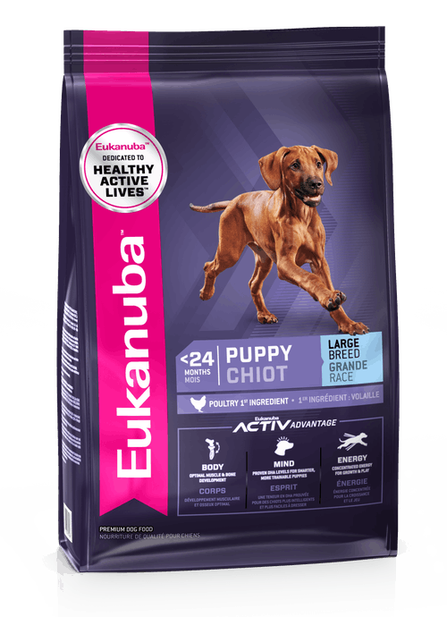 Eukanuba Large Breed Puppy Up to 15 months > 25Kg with Chicken Dog Food