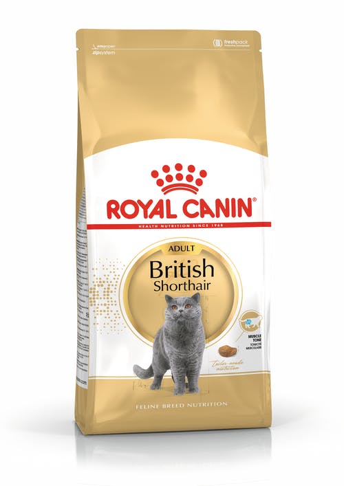 Royal Canin British Shorthair Cats from 12 Months