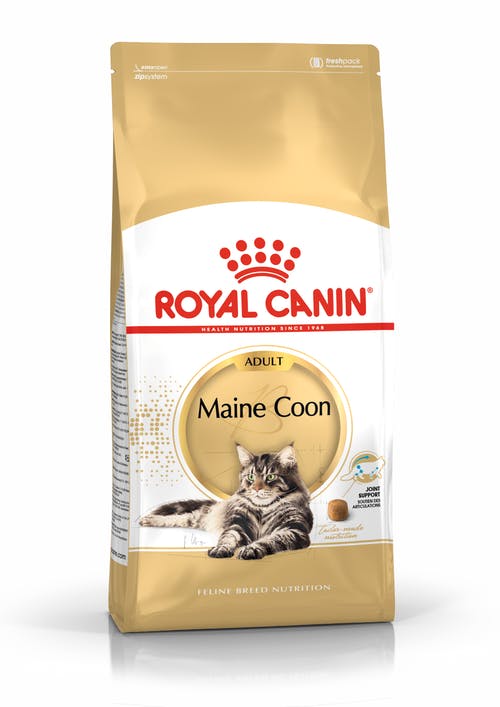 Royal Canin Maine Coon Adult Cats