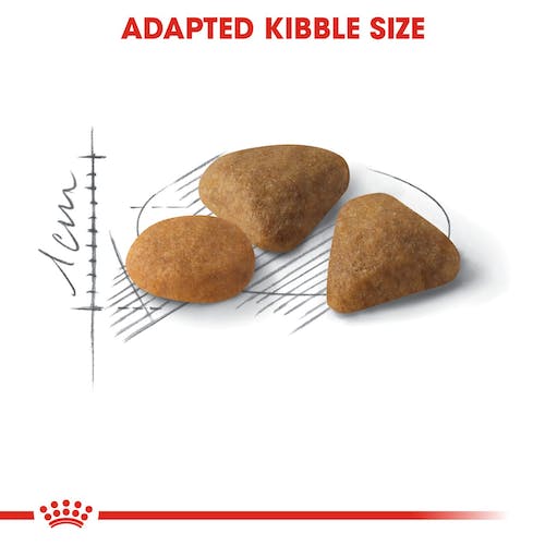 Royal Canin Savour Exigent Adult Very Fussy Cats