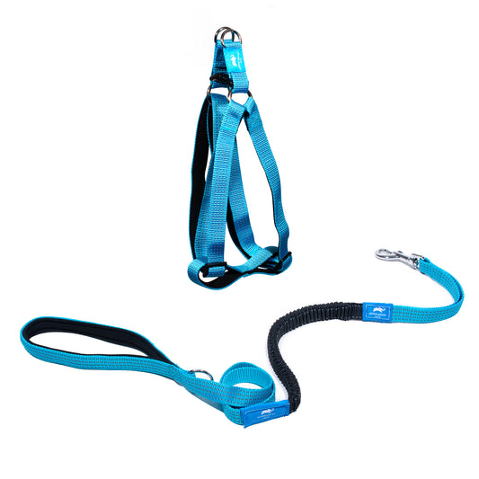 Animal Planet Step-In & Anti-Shock Lead Bundle