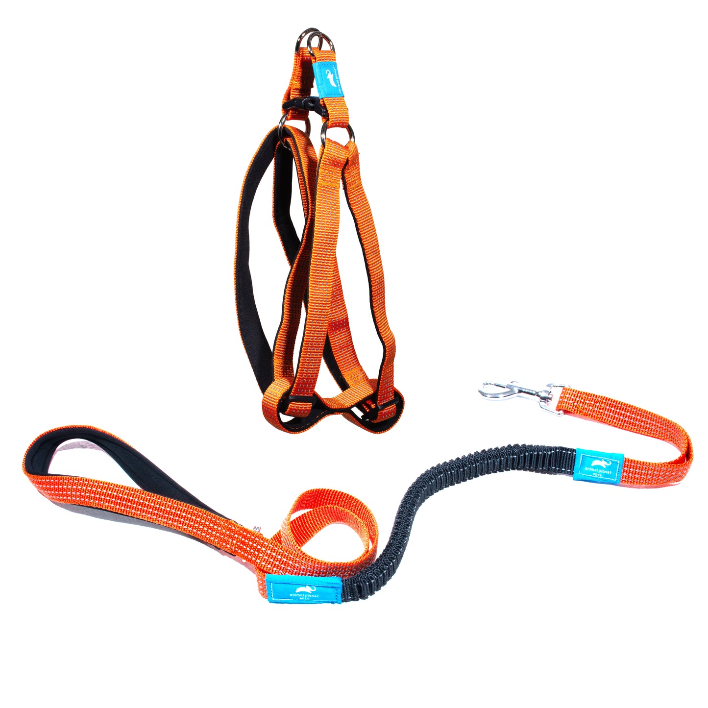 Animal Planet Step-In & Anti-Shock Lead Bundle
