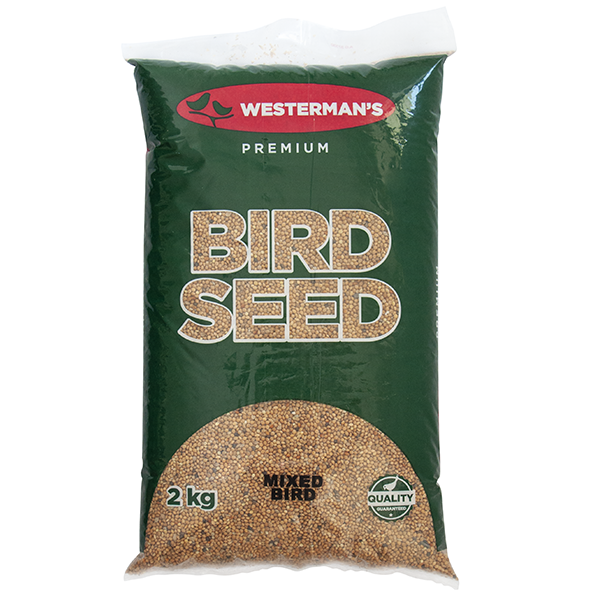 Mixed Bird