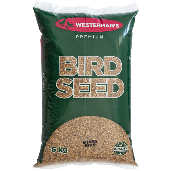 Mixed Bird