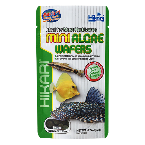Hikari Tropical Mini Algae Wafers