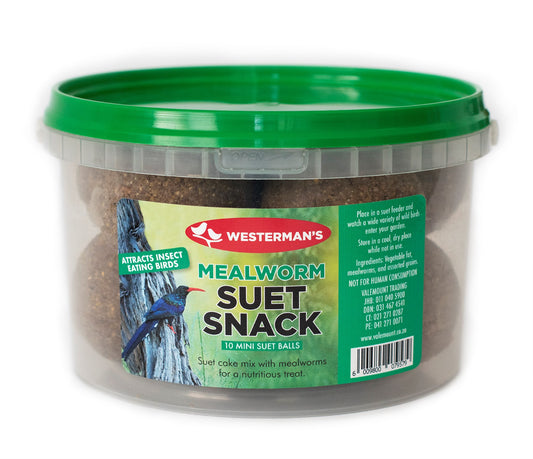 Mealworm Suet Snack (10 Mini Suet Balls)