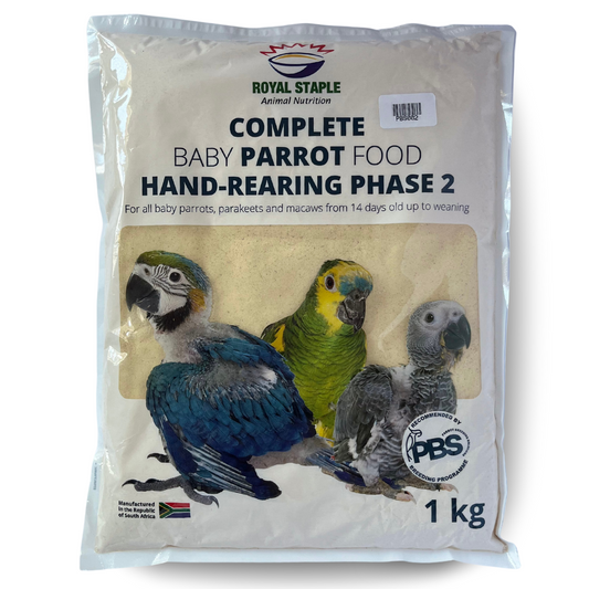 Royal Staple Parrot Handrearing Phase 2