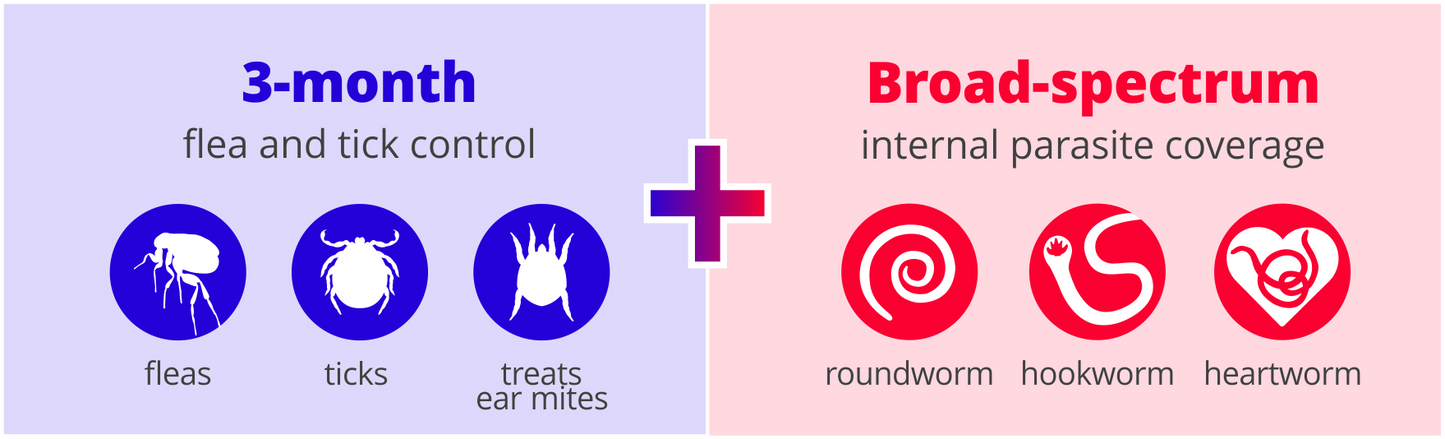 Bravecto Plus Cat