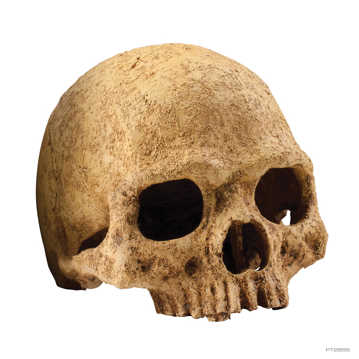 Exo Terra-Reptile Hiding Cave - Primate Skull
