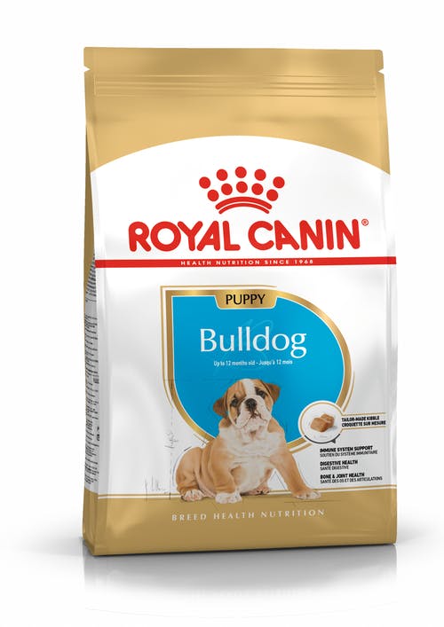 Royal Canin English Bulldog Puppy From 2 to 12 Months