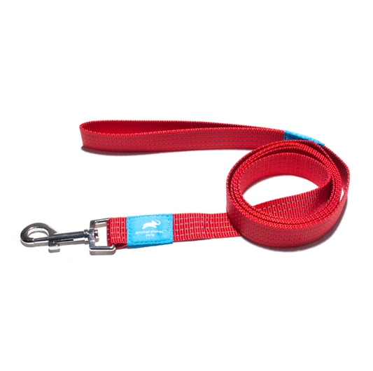 Animal Planet Classic Lead