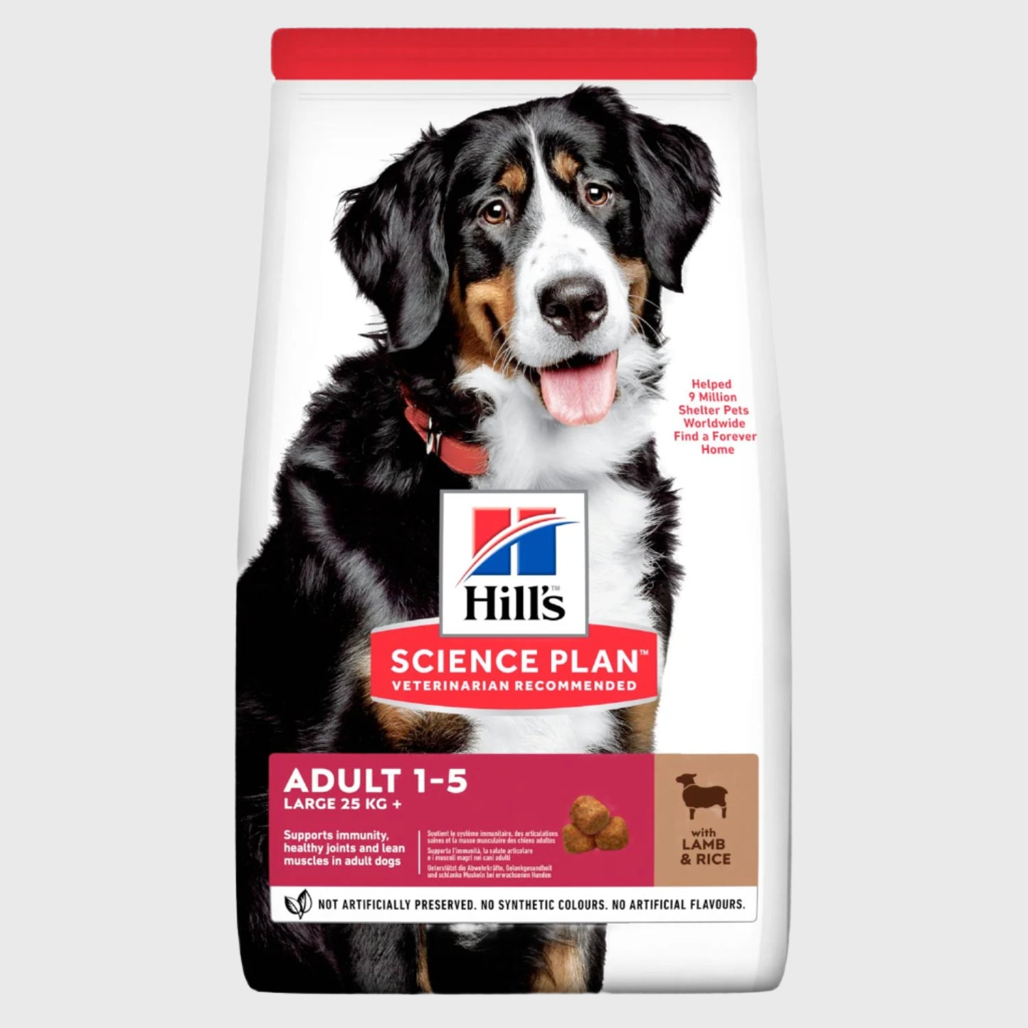 Hill's Science Plan Adult Large Breed Dry Dog Food Lamb and Rice Flavour - 12Kg