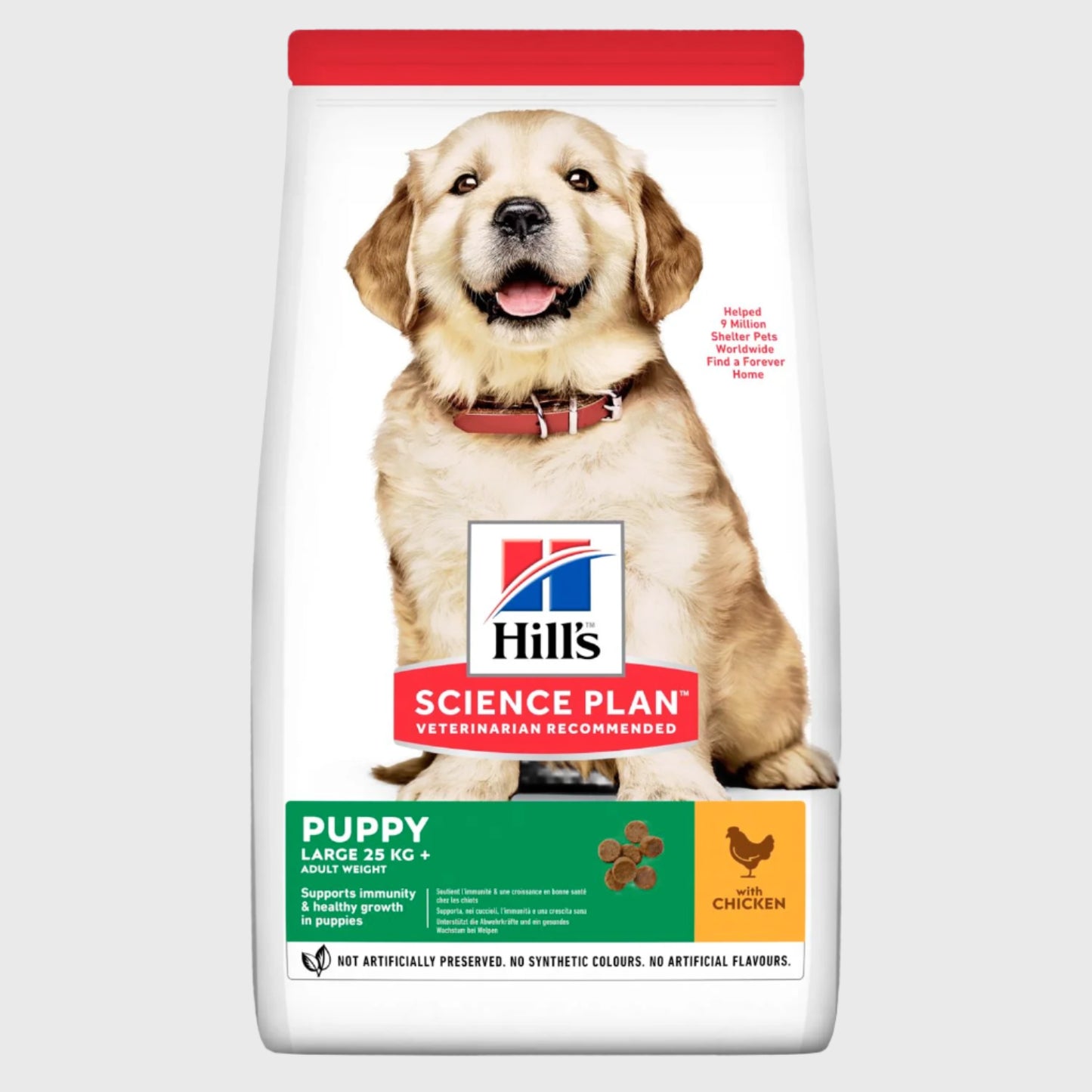 Hill's Science Plan Puppy Large Breed with Chicken Dog Food