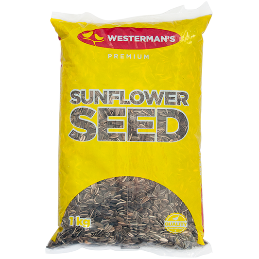 Westerman's Striped Sunflower