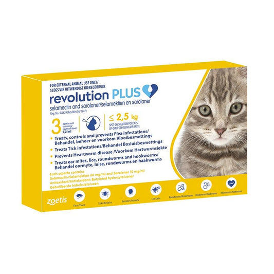 Revolution Plus for Cat - Pack of 3