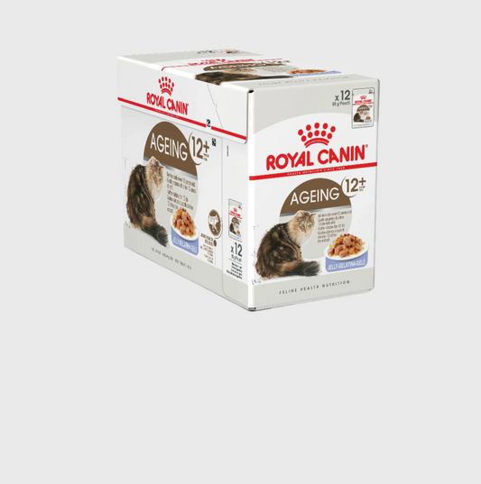 Royal Canin Ageing 12+ Cat Pouches 12x85g