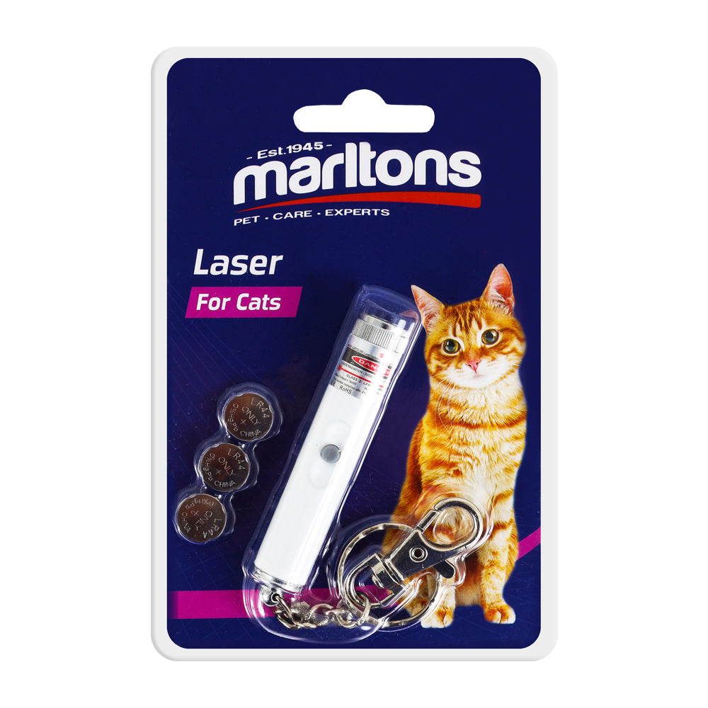 Laser Toy - On Keyring
