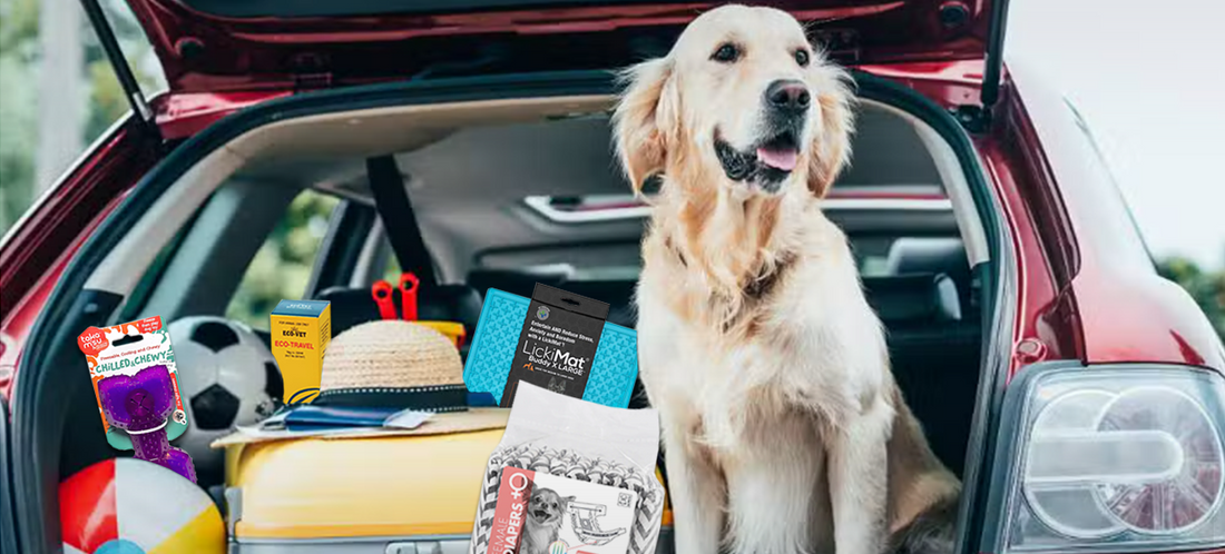 Vacation or Staycation: Holiday Tips for Pets