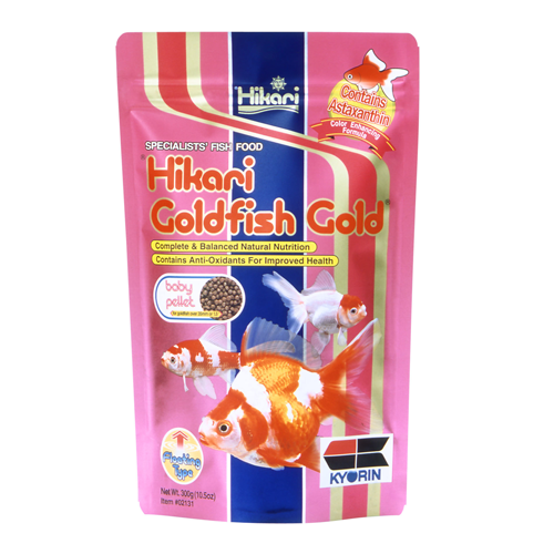 Hikari Goldfish Gold Baby