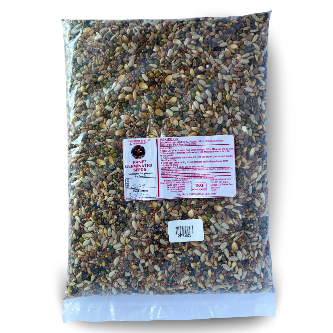 Rani Germinated Seeds (Sprouting) 1Kg
