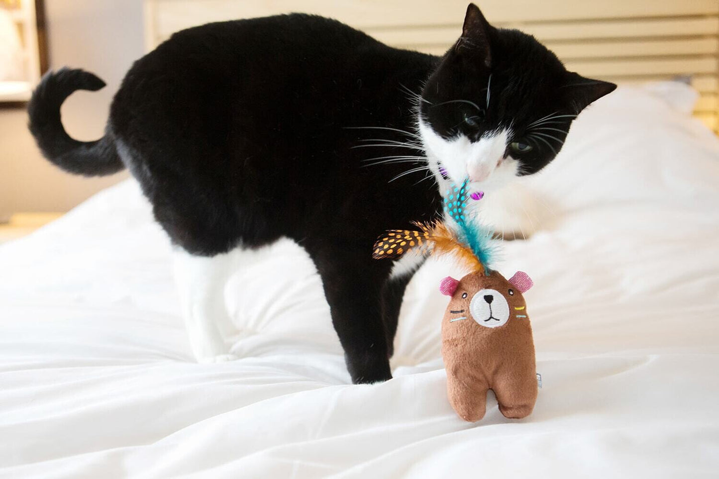 Indie Bear Cat Toy With Feather