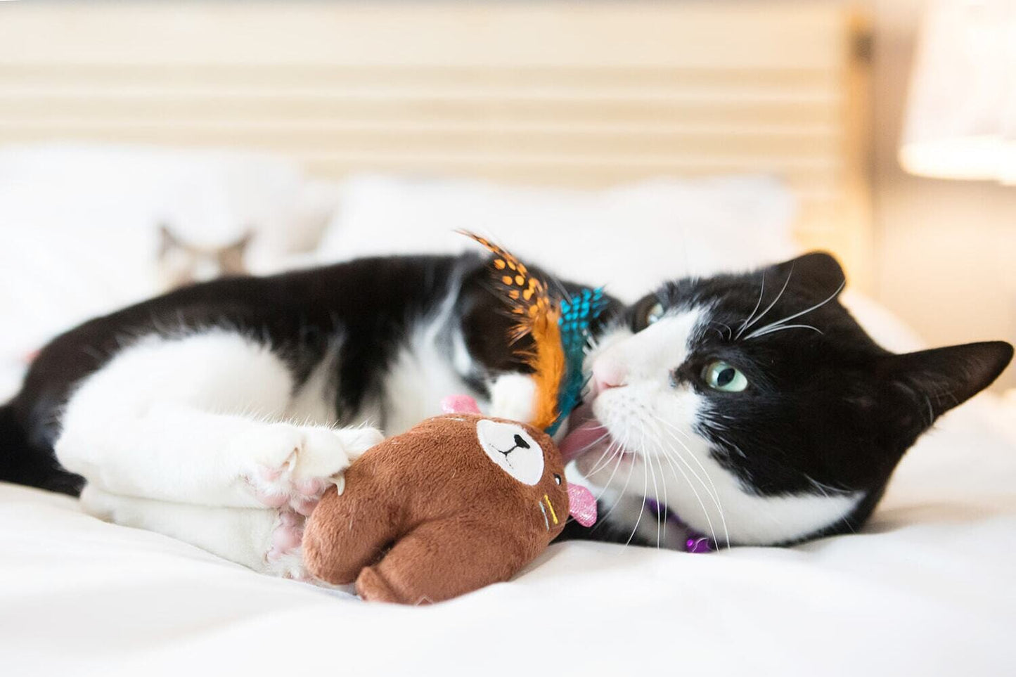 Indie Bear Cat Toy With Feather