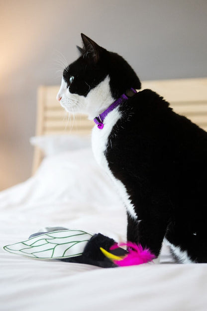 Beetle Cat Toy Black w/Feather 18cm