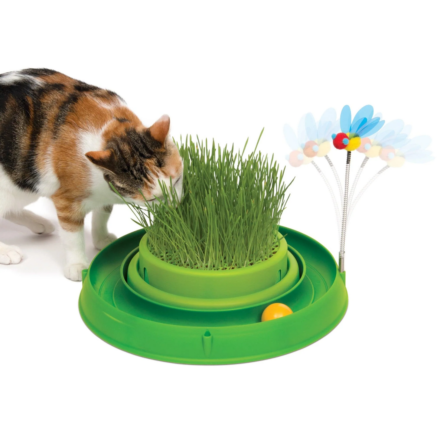 Circuit Ball Toy with Cat Grass