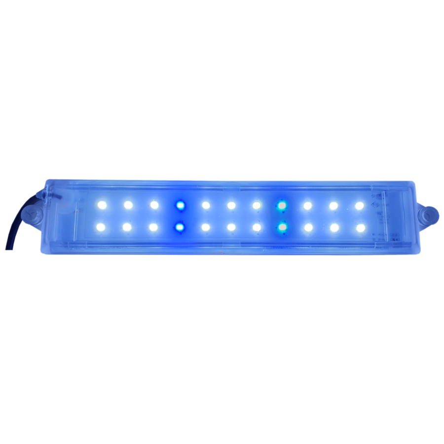 C/ LED Light 5W (White and Blue)
