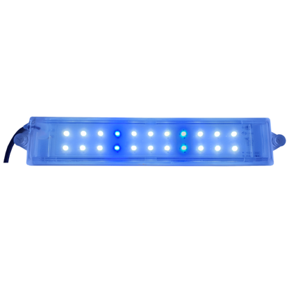 C/ LED Light 5W (White and Blue)