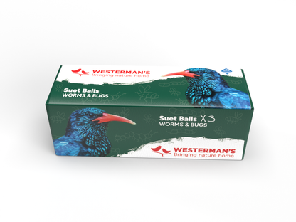 3 x Suet Balls Worms and Bugs - Single Pack