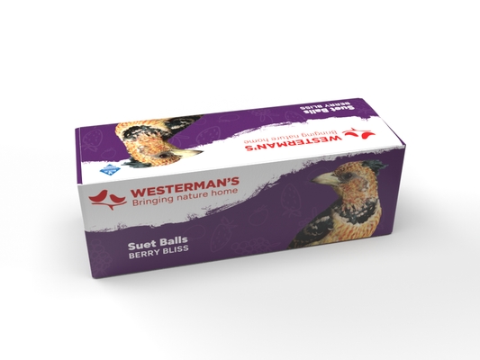 3 x Suet Balls Berry - Single Pack