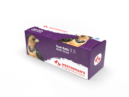 3 x Suet Balls Berry - Single Pack
