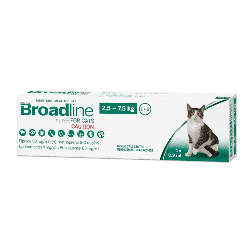 Broadline Cat
